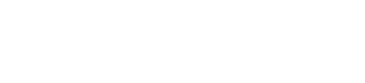 SAN Data Systems Inc.